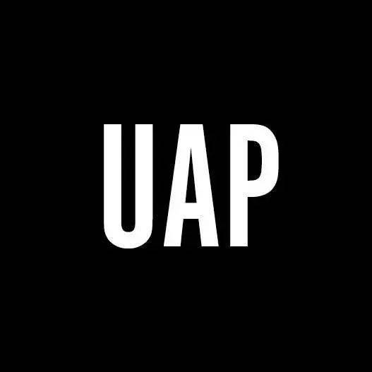 回顧 昆士蘭公共藝術(shù)設(shè)計(jì)咨詢公司uap自拍熊貓項(xiàng)目實(shí)地考察,共促中澳文化交流新合作