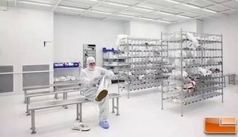 地球人一般都不知道 手機(jī)芯片竟然是這樣誕生的