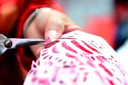 寶雞岐山轉鼓將代表家鄉(xiāng)爭奪 陜西省民間文化藝術之鄉(xiāng) 稱號