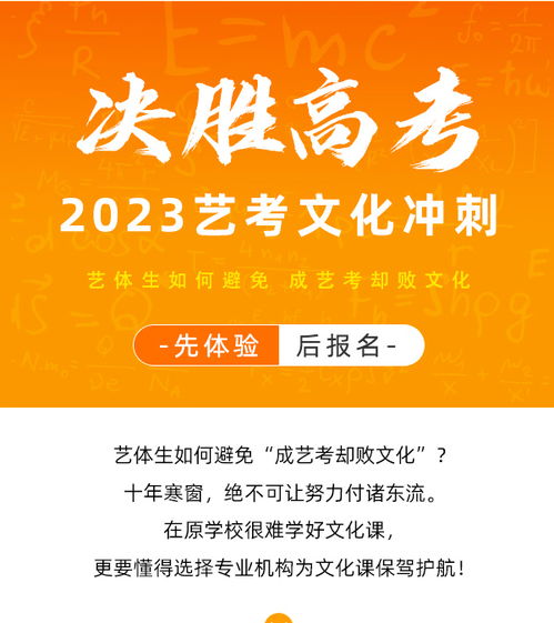 成都學(xué)成藝考文化沖刺輔導(dǎo)班