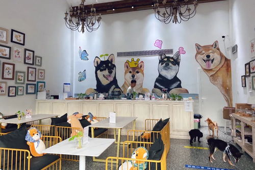 身邊的美學空間 蘇州這幾處公共文化體驗空間，文藝小資且充滿藝術靈感